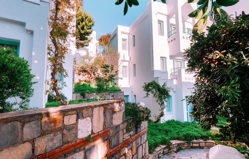 Otpusk Com Afytos Bodrum 4 Turciya Bodrum