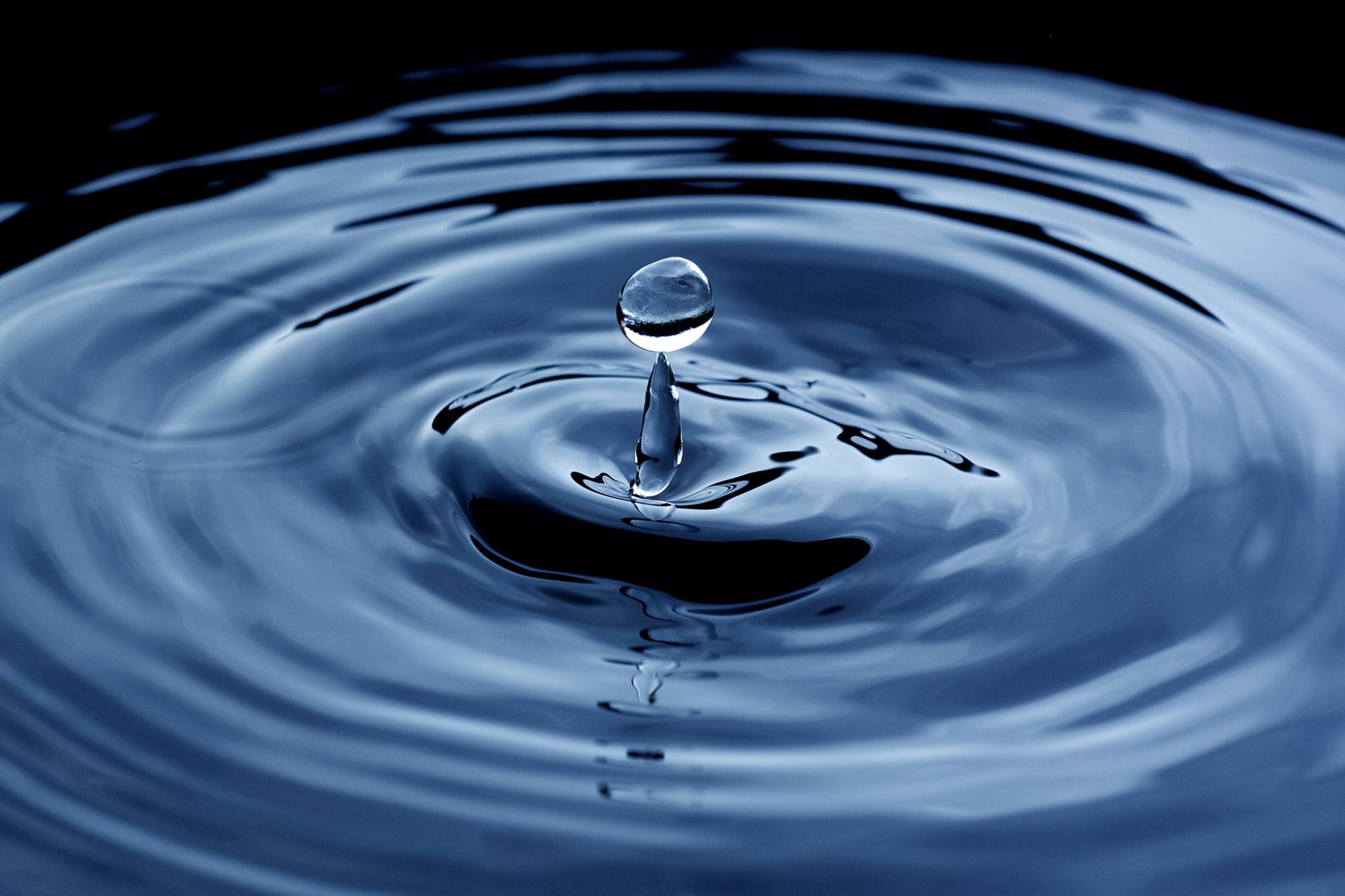 Источник жизни