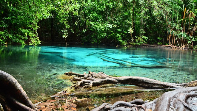 Местечко с первозданным видом