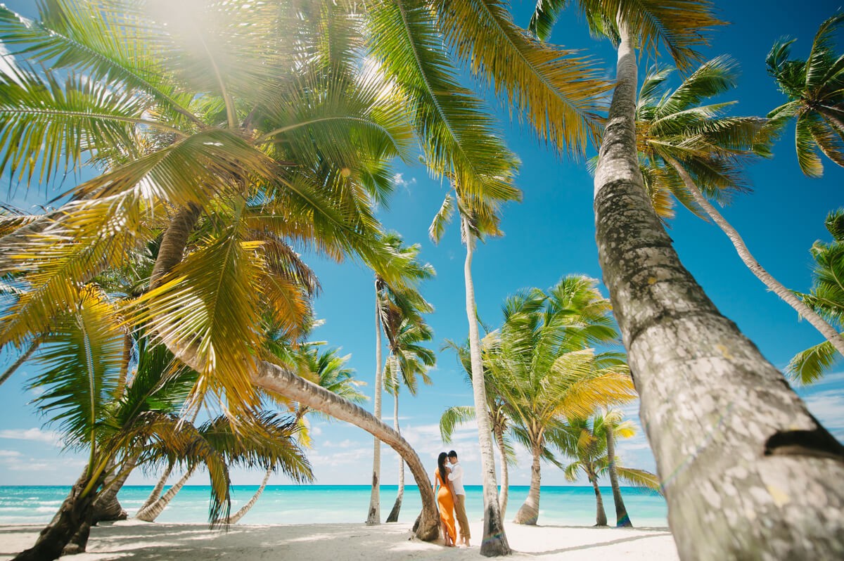 Пальмовый город